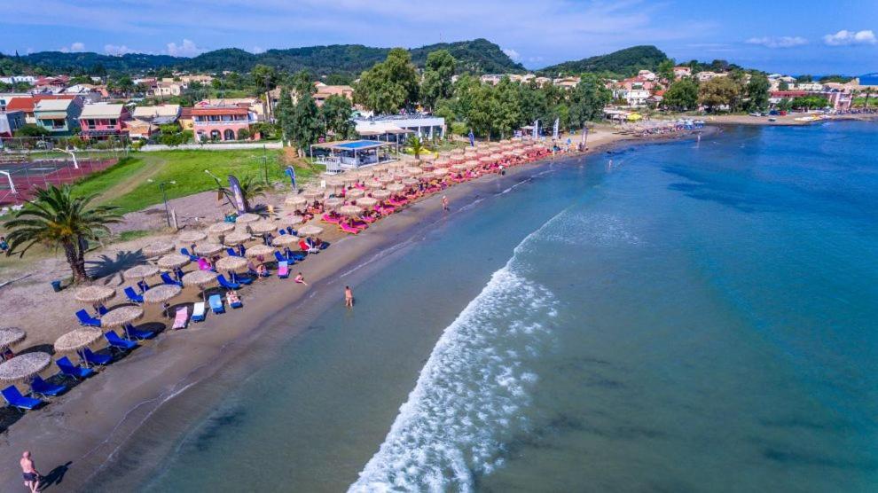 Mariposa Next To The Sea *